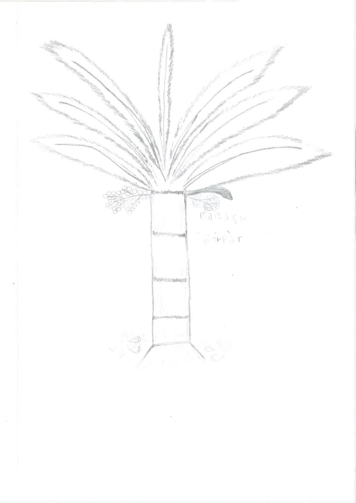 A imagem mostra uma árvore desenhada